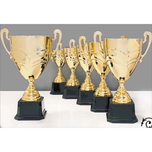 Pehar sa natpisom po želji 5